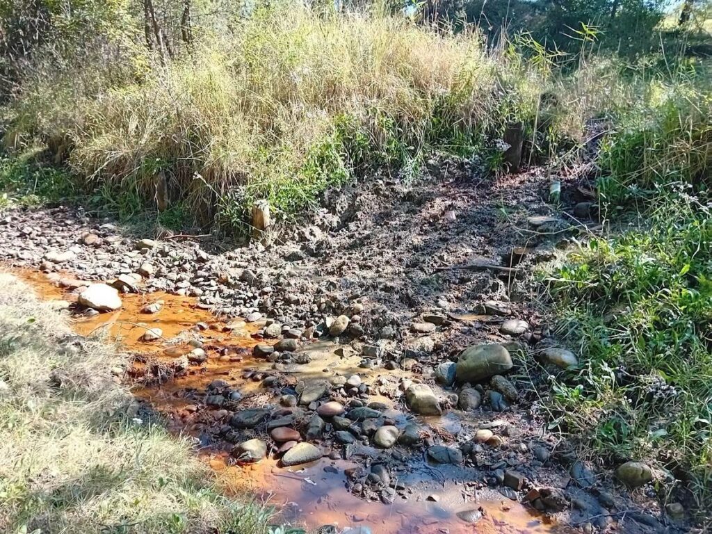 A sós vizű patak a kápolna előtt